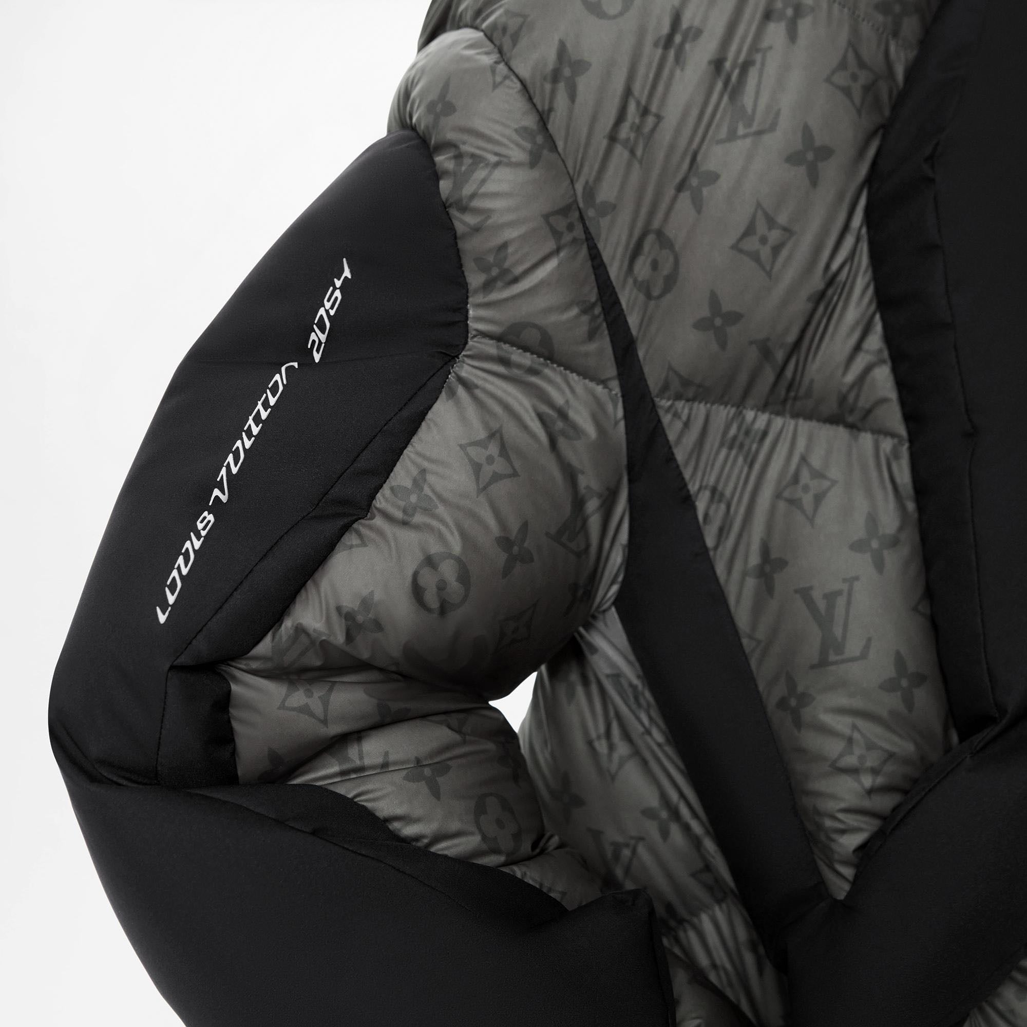 Louis Vuitton 2054 Thermoreactive Down Jacket